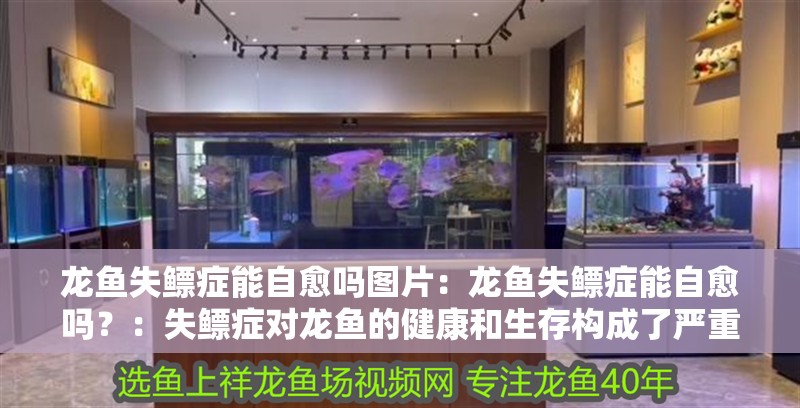 龍魚失鰾癥能自愈嗎圖片：龍魚失鰾癥能自愈嗎？：失鰾癥對龍魚的健康和生存構(gòu)成了嚴(yán)重威脅，失鰾癥可能會自愈