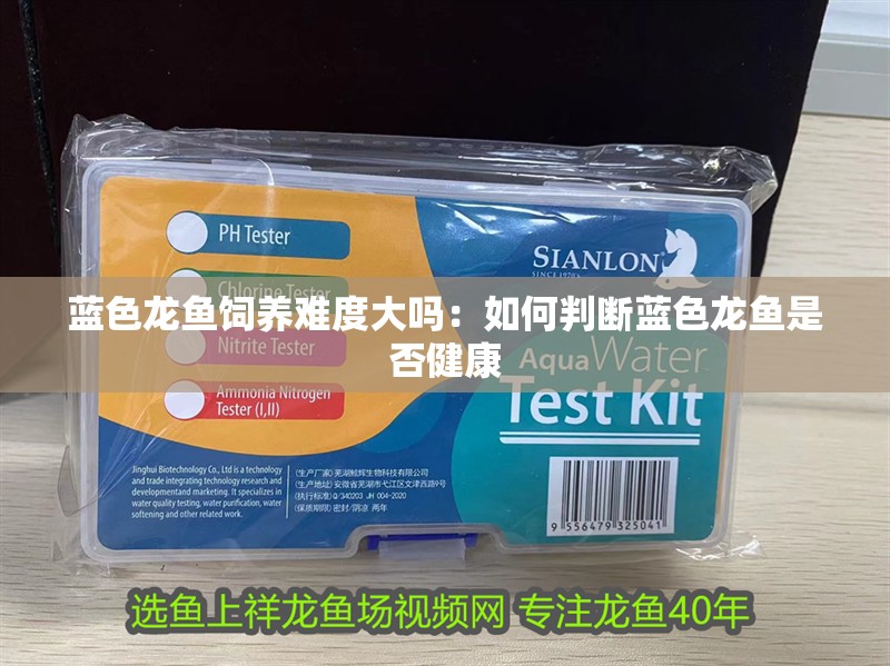 藍(lán)色龍魚飼養(yǎng)難度大嗎：如何判斷藍(lán)色龍魚是否健康