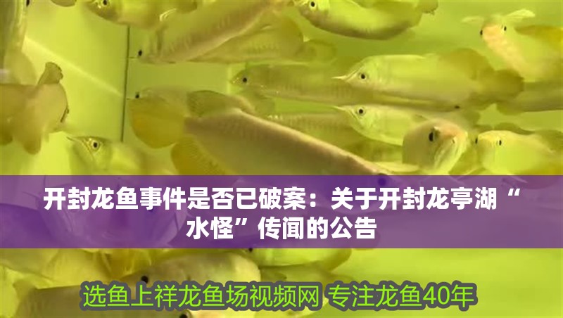 開封龍魚事件是否已破案：關于開封龍亭湖“水怪”傳聞的公告