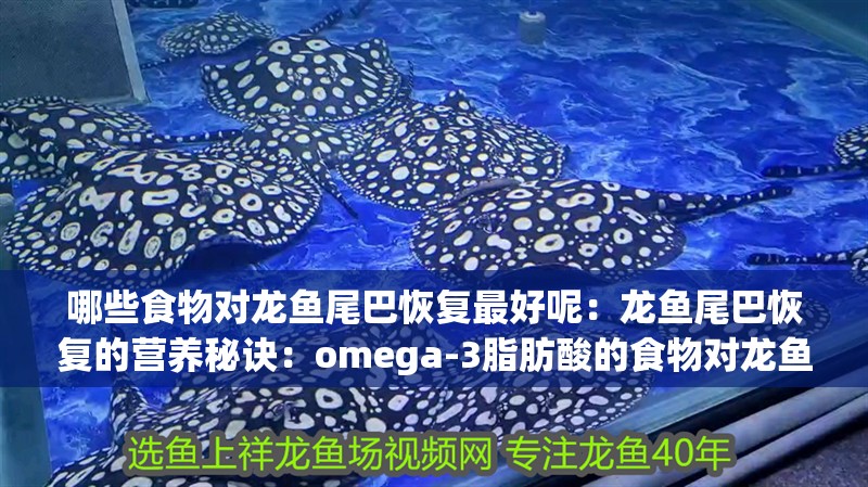 哪些食物對龍魚尾巴恢復最好呢：龍魚尾巴恢復的營養秘訣：omega-3脂肪酸的食物對龍魚尾巴恢復最為有益