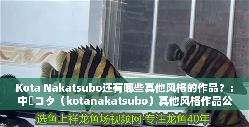 Kota Nakatsubo還有哪些其他風格的作品？：中塚コタ（kotanakatsubo）其他風格作品公開檢索信息