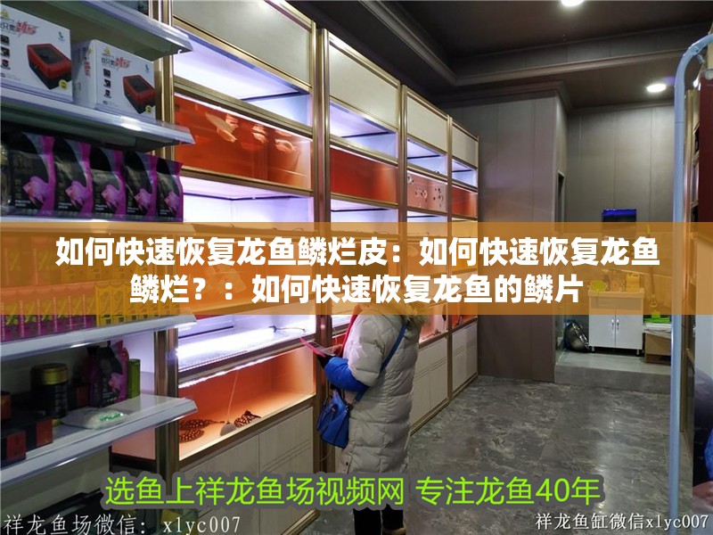 如何快速恢復龍魚鱗爛皮：如何快速恢復龍魚鱗爛？：如何快速恢復龍魚的鱗片