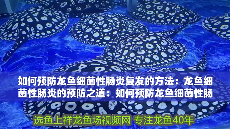 如何預防龍魚細菌性腸炎復發的方法：龍魚細菌性腸炎的預防之道：如何預防龍魚細菌性腸炎