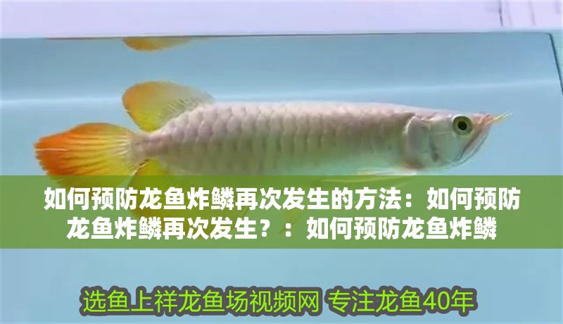 如何預防龍魚炸鱗再次發(fā)生的方法：如何預防龍魚炸鱗再次發(fā)生？：如何預防龍魚炸鱗