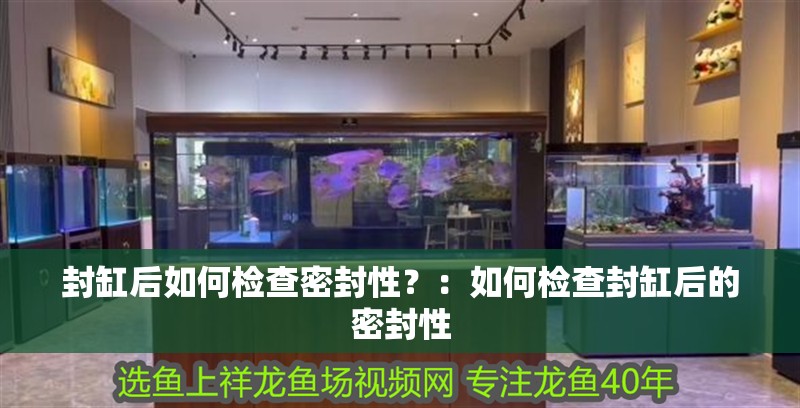 封缸后如何檢查密封性？：如何檢查封缸后的密封性