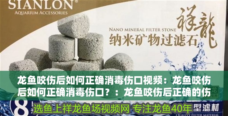 龍魚咬傷后如何正確消毒傷口視頻：龍魚咬傷后如何正確消毒傷口？：龍魚咬傷后正確的傷口消毒方法至關(guān)重要應(yīng)立即用流動的<strong><mark>清水</mark></strong>沖洗傷口