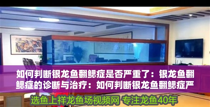 如何判斷銀龍魚翻鰓癥是否嚴重了：銀龍魚翻鰓癥的診斷與治療：如何判斷銀龍魚翻鰓癥嚴重