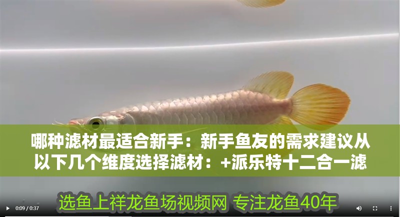 哪種濾材最適合新手：新手魚友的需求建議從以下幾個維度選擇濾材：+派樂特十二合一濾