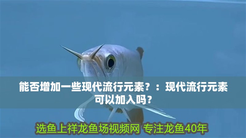 能否增加一些現(xiàn)代流行元素？：現(xiàn)代流行元素可以加入嗎？