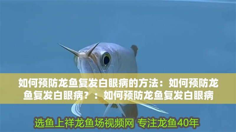 如何預防龍魚復發白眼病的方法：如何預防龍魚復發白眼病？：如何預防龍魚復發白眼病