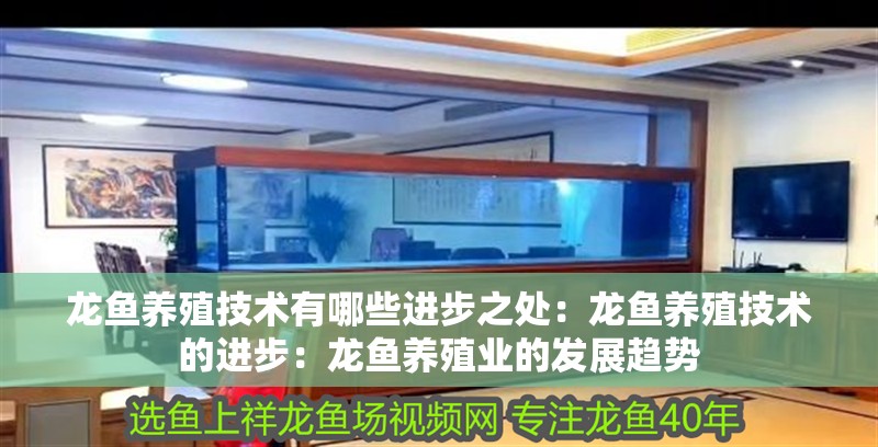 龍魚養(yǎng)殖技術(shù)有哪些進(jìn)步之處：龍魚養(yǎng)殖技術(shù)的進(jìn)步：龍魚養(yǎng)殖業(yè)的發(fā)展趨勢