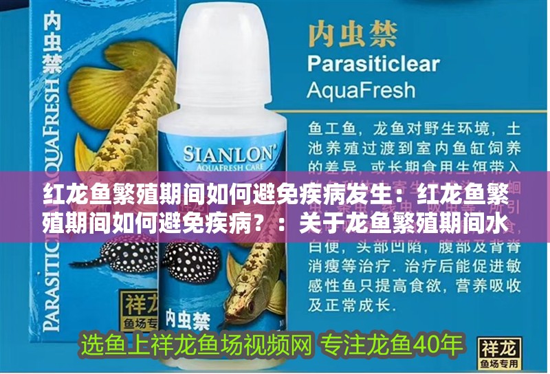 紅龍魚繁殖期間如何避免疾病發生：紅龍魚繁殖期間如何避免疾病？：關于龍魚繁殖期間水質管理的建議