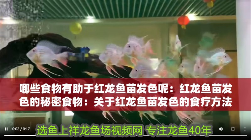 哪些食物有助于紅龍魚苗發色呢：紅龍魚苗發色的秘密食物：關于紅龍魚苗發色的食療方法