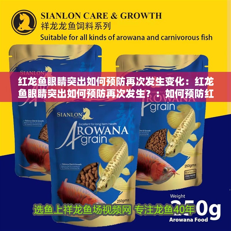 紅龍魚眼睛突出如何預(yù)防再次發(fā)生變化：紅龍魚眼睛突出如何預(yù)防再次發(fā)生？：如何預(yù)防紅龍魚眼睛突出