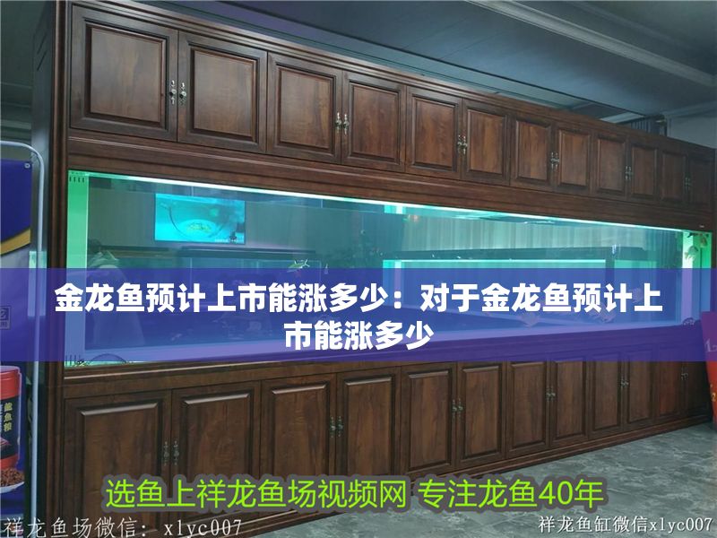 金龍魚預計上市能漲多少：對于金龍魚預計上市能漲多少