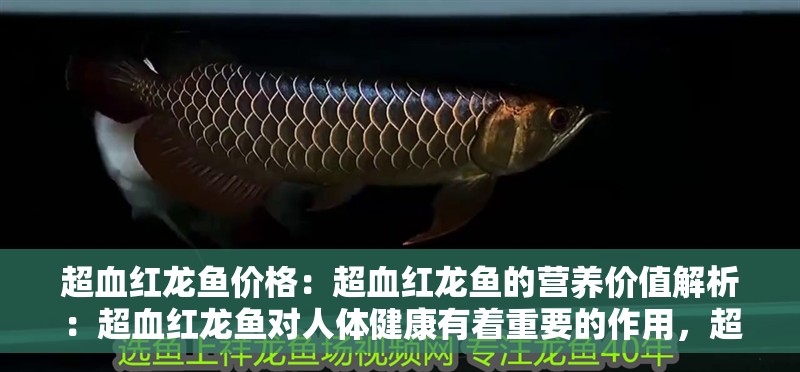 超血紅龍魚價(jià)格：超血紅龍魚的營(yíng)養(yǎng)價(jià)值解析：超血紅龍魚對(duì)人體健康有著重要的作用，超血紅龍魚對(duì)人體健康有益