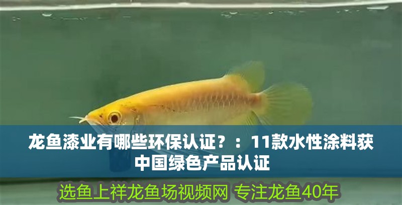 龍魚漆業有哪些環保認證？：11款水性涂料獲中國綠色產品認證