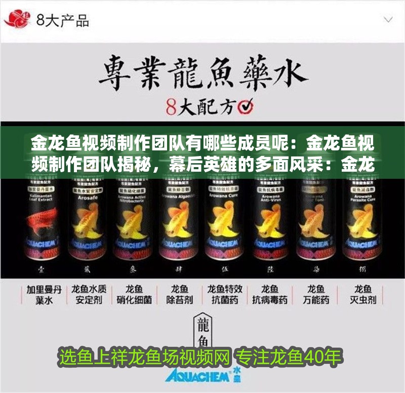 金龍魚視頻制作團隊有哪些成員呢：金龍魚視頻制作團隊揭秘，幕后英雄的多面風采：金龍魚視頻制作團隊