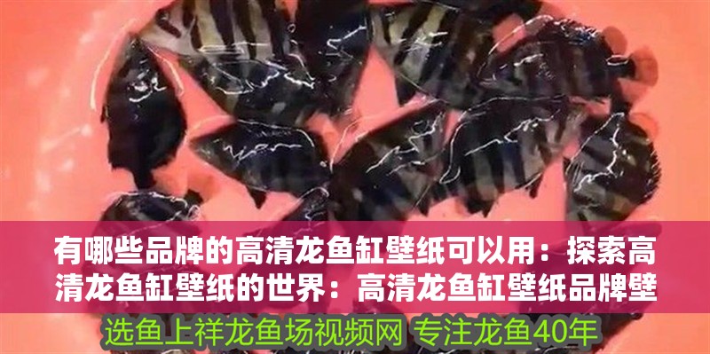 有哪些品牌的高清龍魚缸壁紙可以用：探索高清龍魚缸壁紙的世界：高清龍魚缸壁紙品牌壁紙品牌推薦，高清龍魚缸壁紙品牌推薦