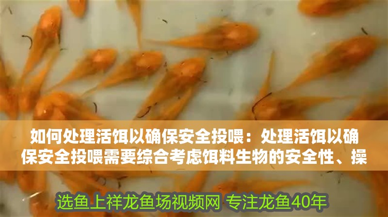 如何處理活餌以確保安全投喂：處理活餌以確保安全投喂需要綜合考慮餌料生物的安全性、操作規范以及目標動物的健康需求