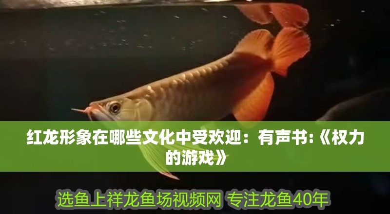 我的虎魚真菌感染了要怎么處理 紅龍形象在哪些文化中受歡迎:有聲書:《權力的游戲》 龍魚百科 紅龍形象在哪些文化中受歡迎:有聲書:《權力的游戲》 紅龍形象在哪些文化中受歡迎:有聲書:《權力的游戲》 龍魚百科
