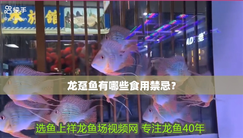 龍躉魚有哪些食用禁忌？