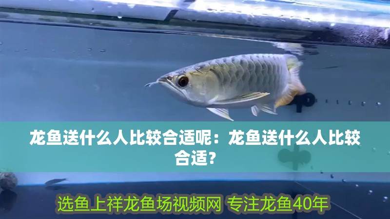 龍魚送什么人比較合適呢：龍魚送什么人比較合適？