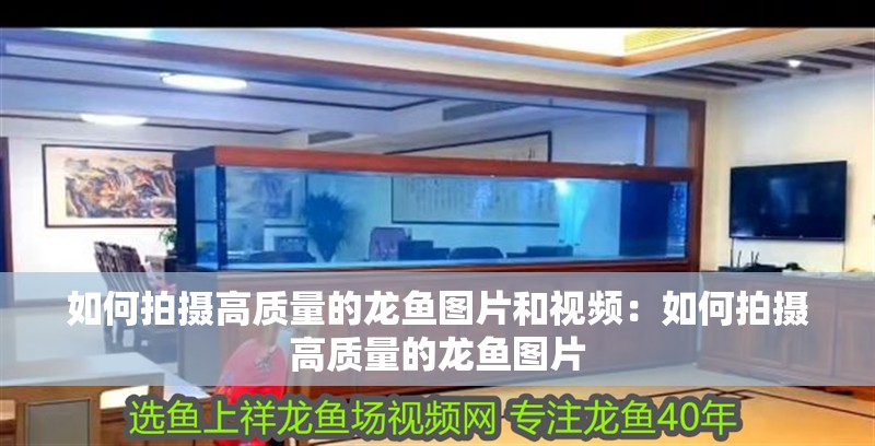 如何拍攝高質量的龍魚圖片和視頻：如何拍攝高質量的龍魚圖片