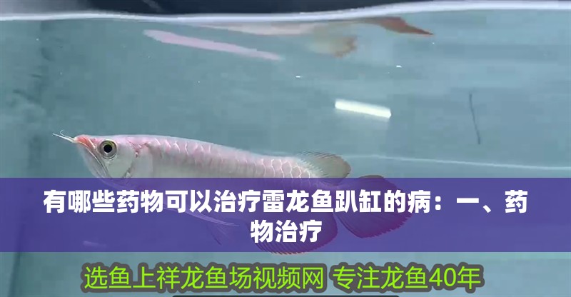 有哪些藥物可以治療雷龍魚趴缸的病：一、藥物治療