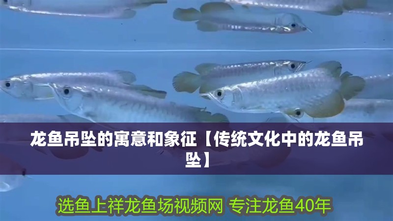 龍魚(yú)吊墜的寓意和象征【傳統(tǒng)文化中的龍魚(yú)吊墜】