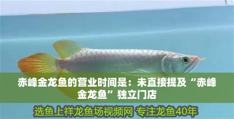 赤峰金龍魚的營業時間是：未直接提及“赤峰金龍魚”獨立門店
