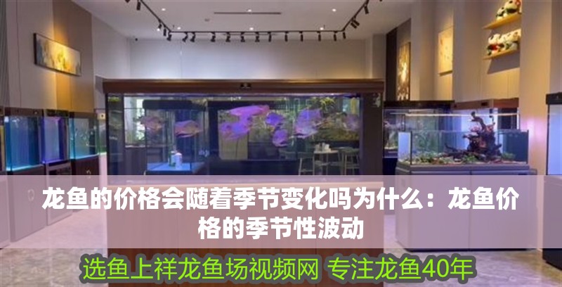 龍魚的價(jià)格會(huì)隨著季節(jié)變化嗎為什么：龍魚價(jià)格的季節(jié)性波動(dòng)