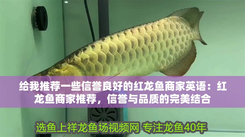 給我推薦一些信譽良好的紅龍魚商家英語：紅龍魚商家推薦，信譽與品質的完美結合