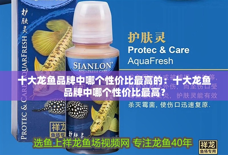 十大龍魚品牌中哪個性價比最高的：十大龍魚品牌中哪個性價比最高？