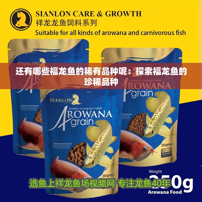 還有哪些福龍魚的稀有品種呢：探索福龍魚的珍稀品種