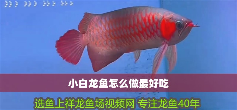 小白龍魚怎么做最好吃