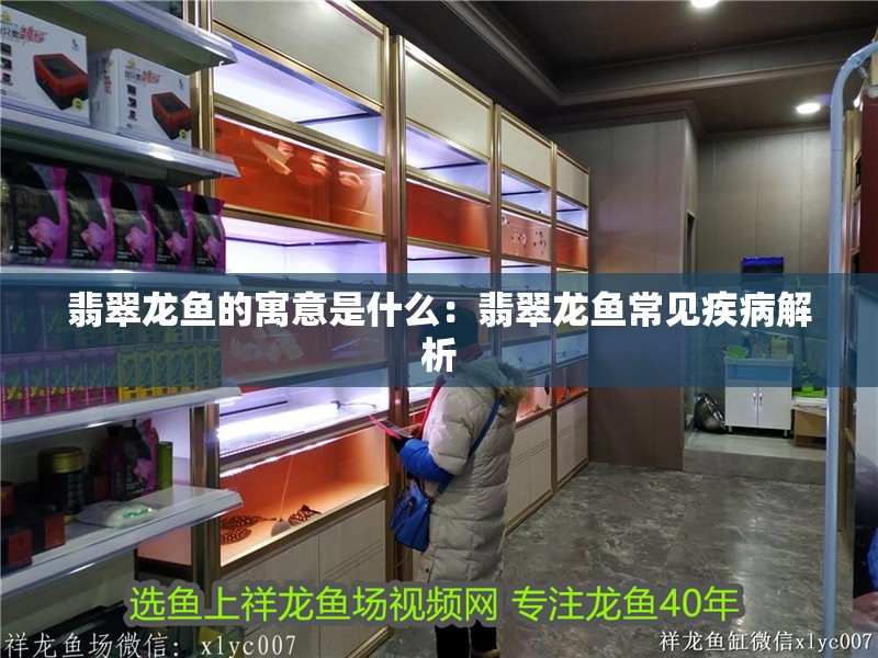 翡翠龍魚的寓意是什么：翡翠龍魚常見疾病解析