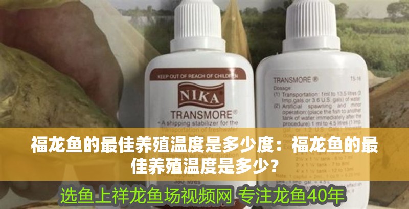 福龍魚的最佳養(yǎng)殖溫度是多少度：福龍魚的最佳養(yǎng)殖溫度是多少？