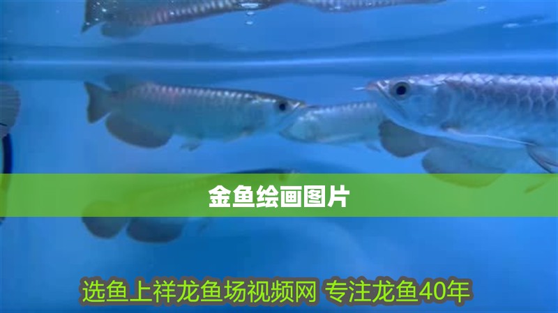 金魚繪畫圖片