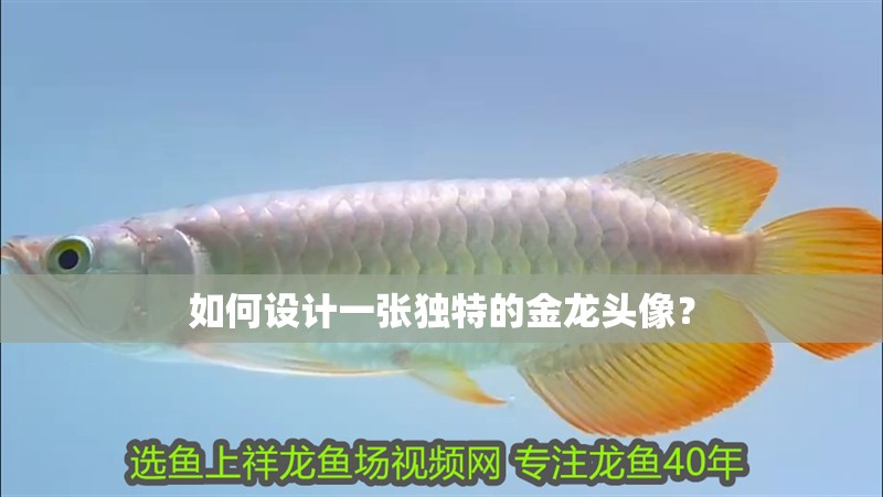 如何設計一張獨特的金龍頭像？