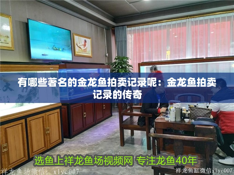 有哪些著名的金龍魚拍賣記錄呢：金龍魚拍賣記錄的傳奇