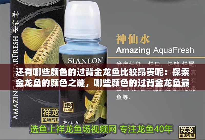 還有哪些顏色的過背金龍魚比較昂貴呢：探索金龍魚的顏色之謎，哪些顏色的過背金龍魚最為昂貴？