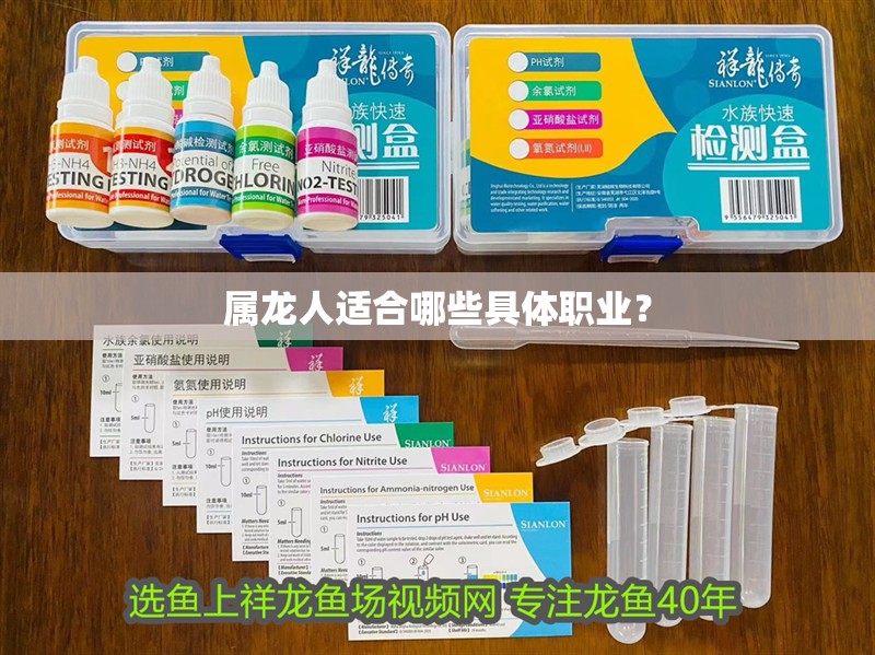 大型雷龍魚品種大全（幾種常見的大型雷龍魚品種）