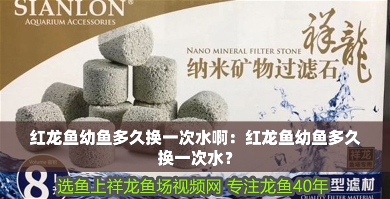 紅龍魚幼魚多久換一次水啊：紅龍魚幼魚多久換一次水？