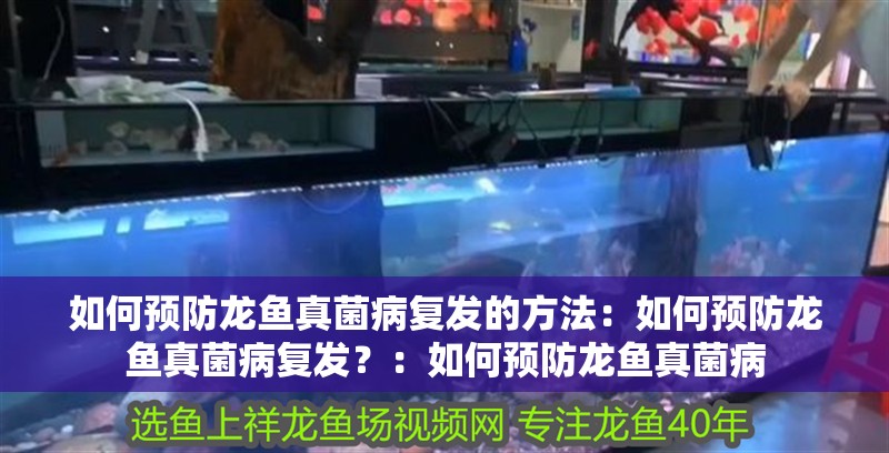 如何預(yù)防龍魚真菌病復(fù)發(fā)的方法：如何預(yù)防龍魚真菌病復(fù)發(fā)？：如何預(yù)防龍魚真菌病