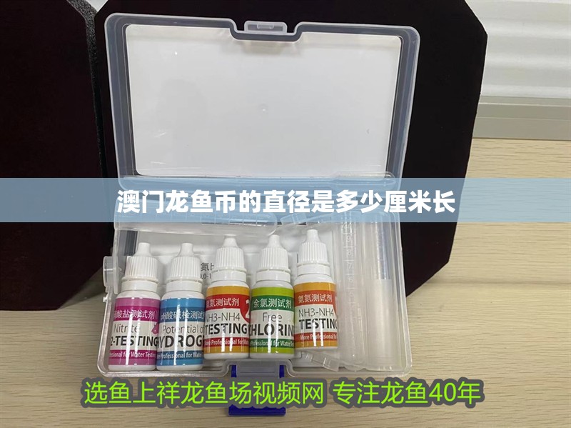 澳門龍魚幣的直徑是多少厘米長