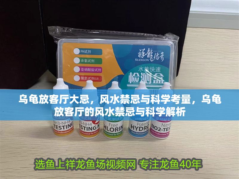 烏龜放客廳大忌，風水禁忌與科學考量，烏龜放客廳的風水禁忌與科學解析