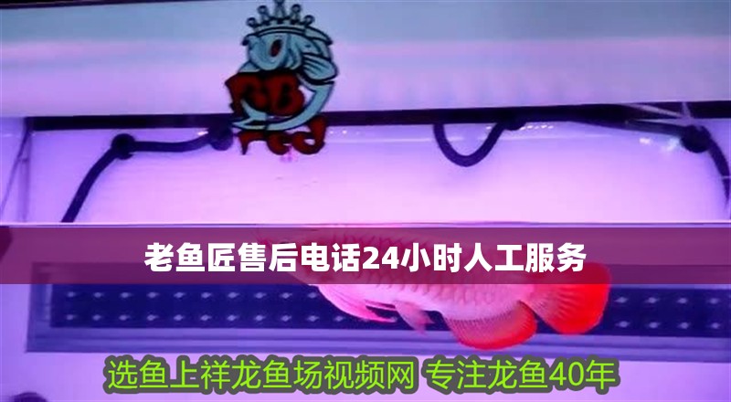 老魚匠售后電話24小時人工服務