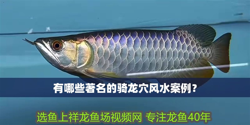 有哪些著名的騎龍穴風水案例？