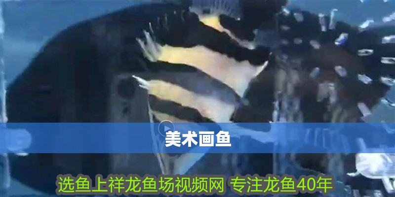 美術畫魚 美術畫魚 龍魚百科